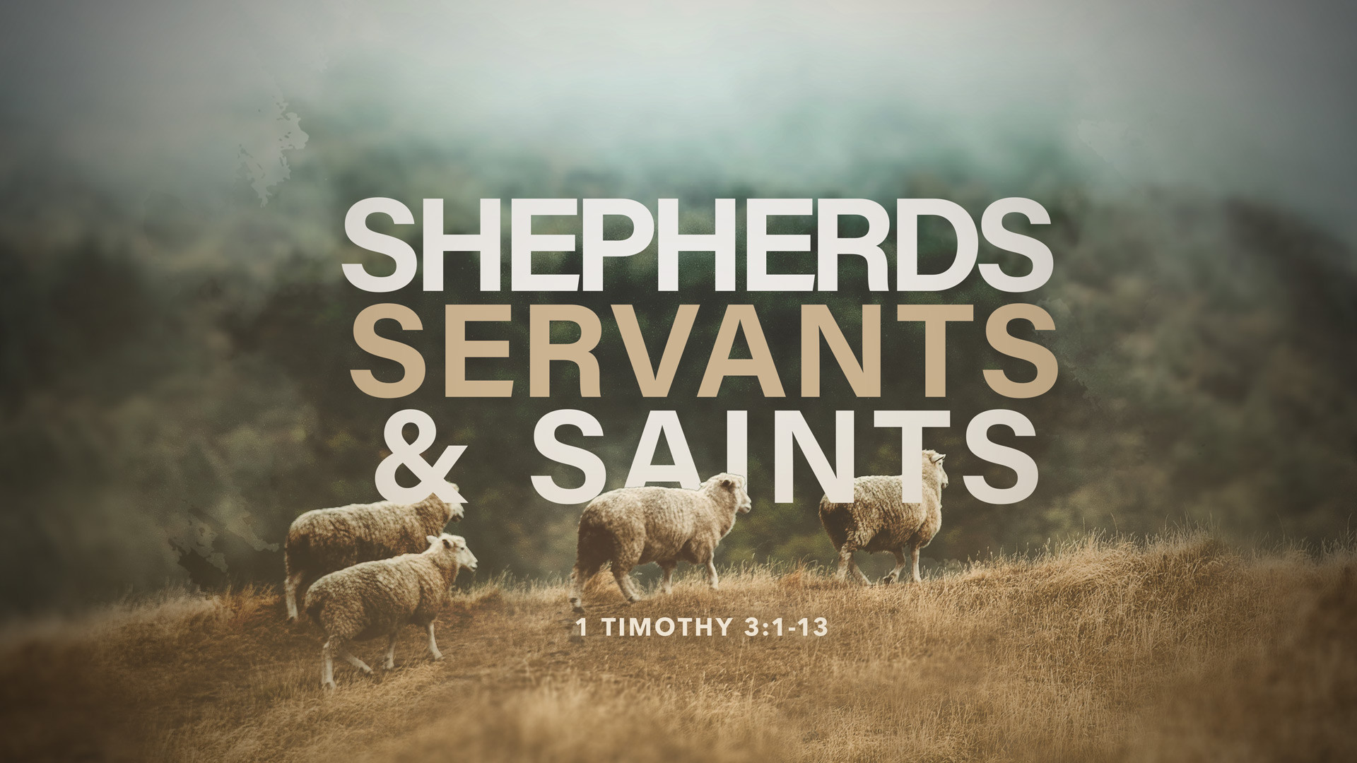 shepherdsservantssaints-1920x1-641b810b24487.jpg
