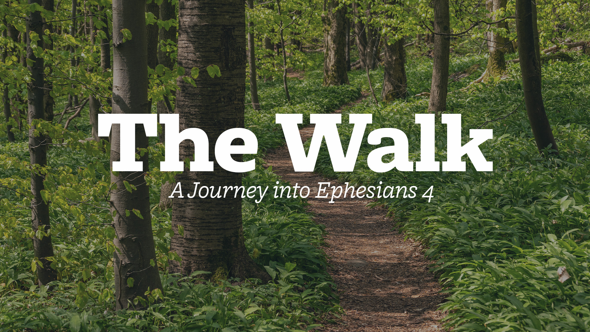the-walk-1920_withoutnumberofweeks.jpg
