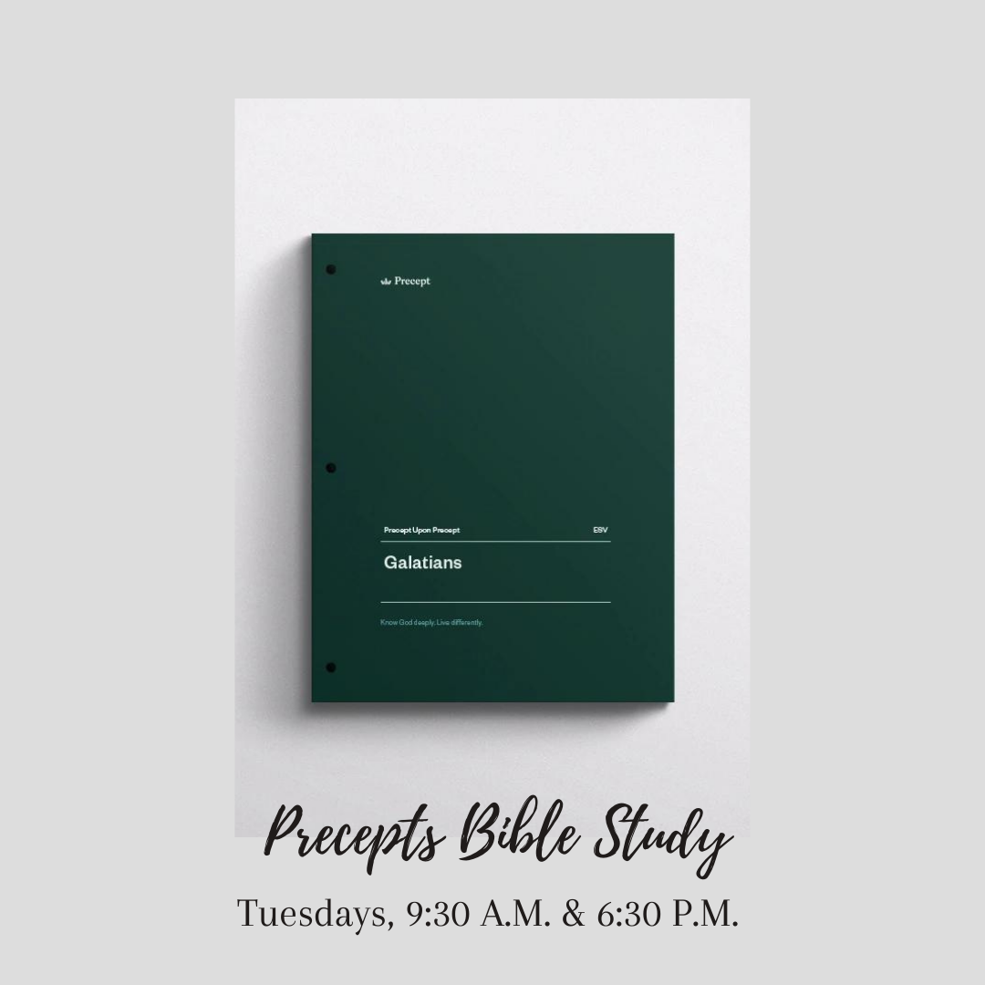 Thursday Noonday