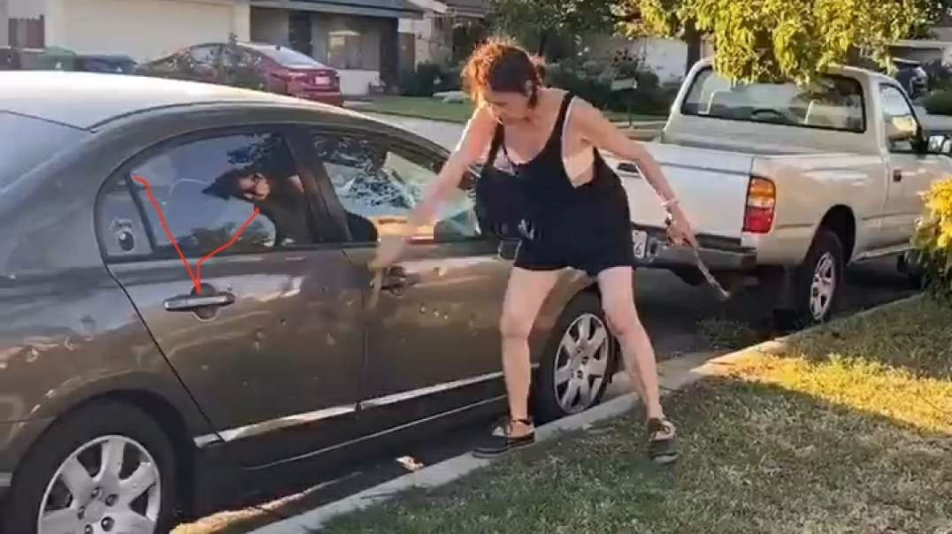 ⁣Racist lady destroys property with Two hammers