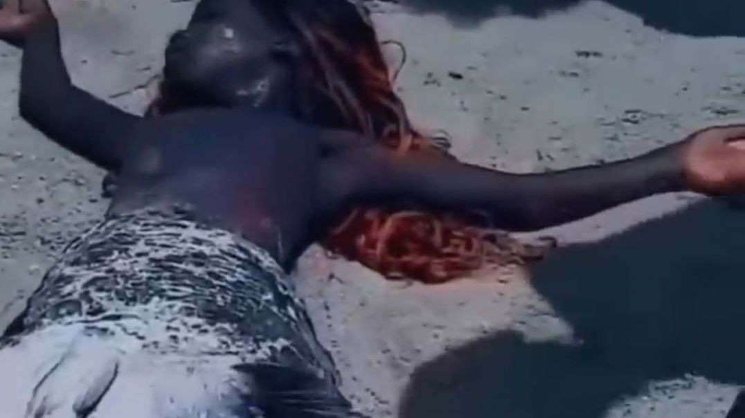 Scary! Real Mermaid Still Breathing on land out of Water.