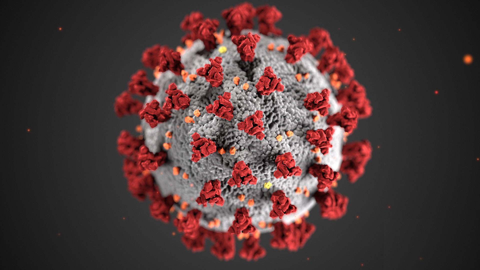 Coronovirus – LIVE updates