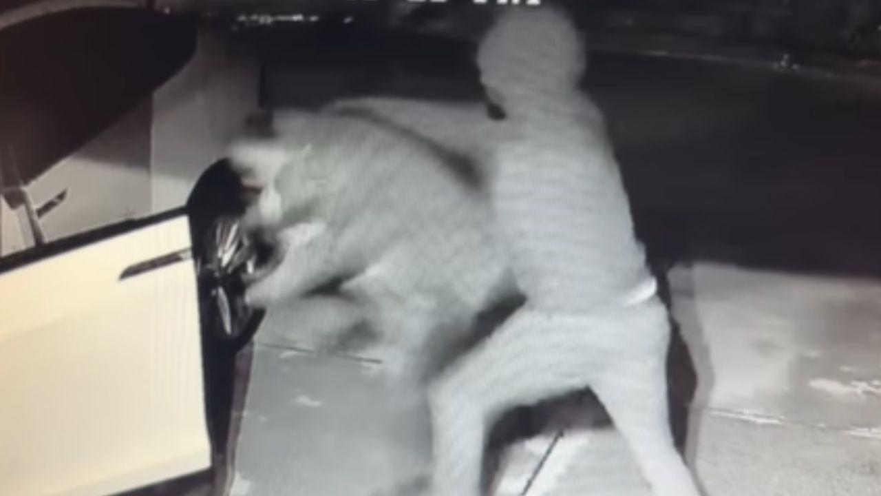 Southern California couple endures terrifying robbery, losing generations of family jewelry
