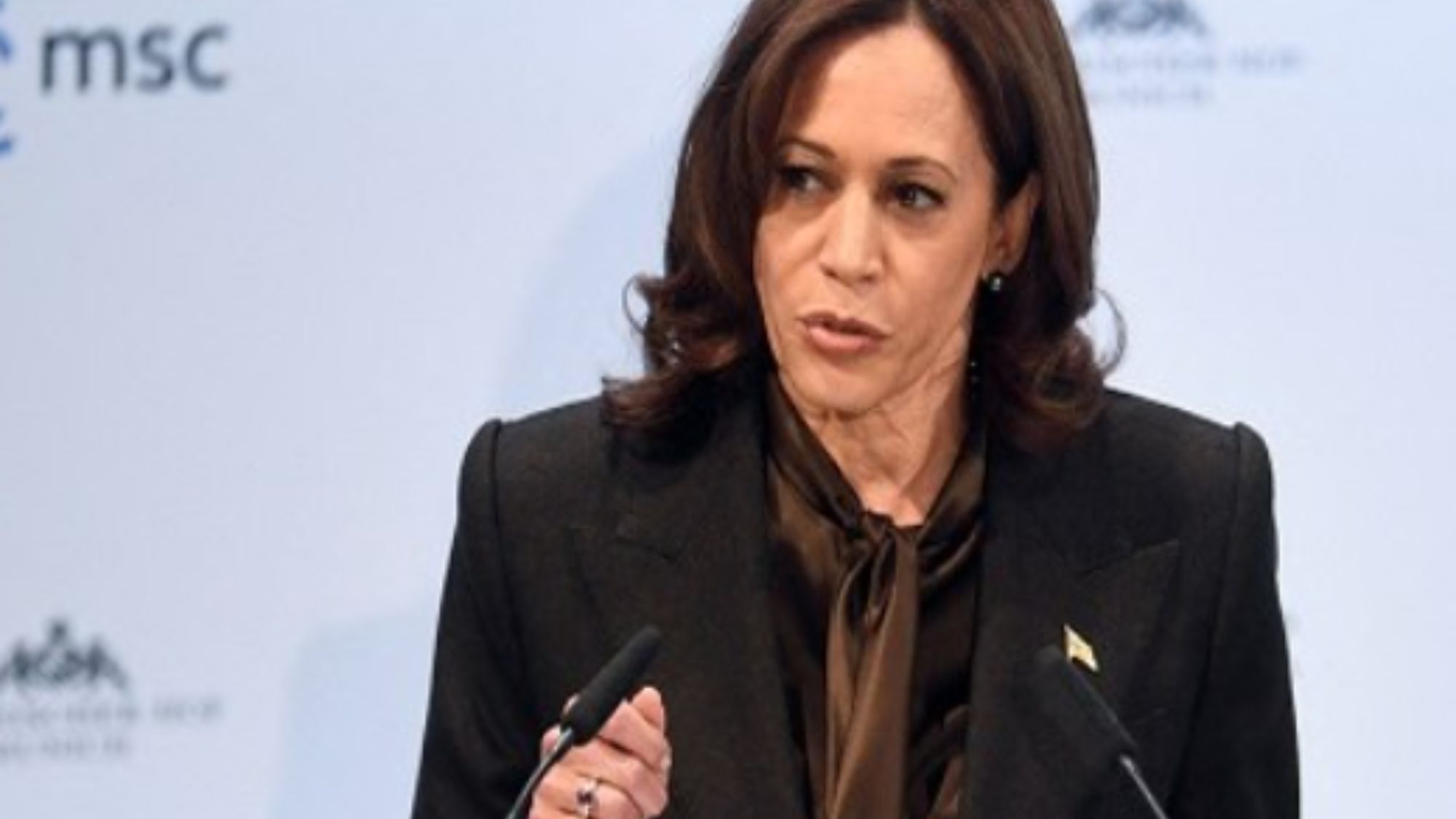 Harris spends $1 billion for campaign, but falls in historic political comeback for Trump