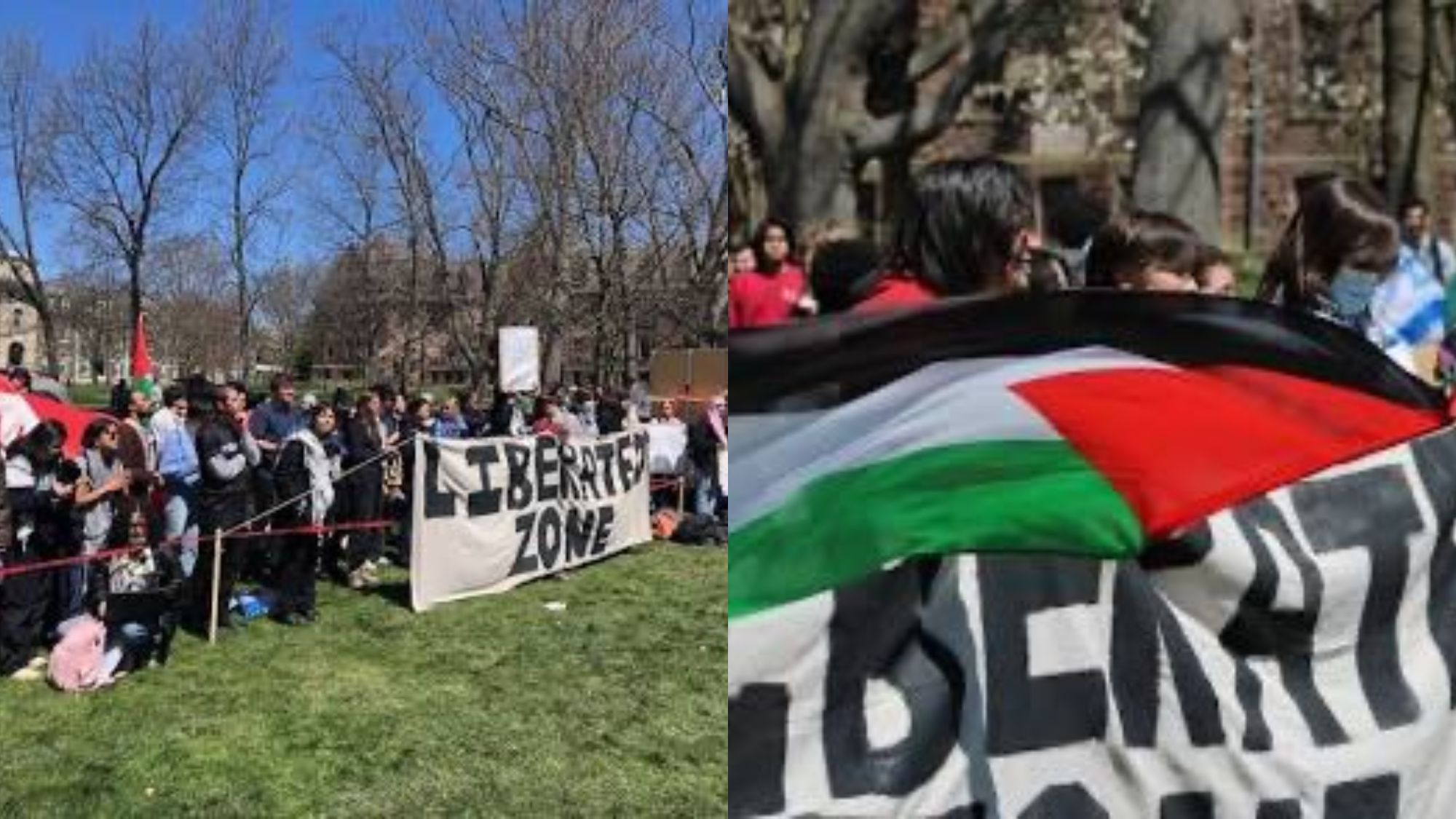 Cornell suspends four students over Pro-Palestine protest, igniting free speech controversy.