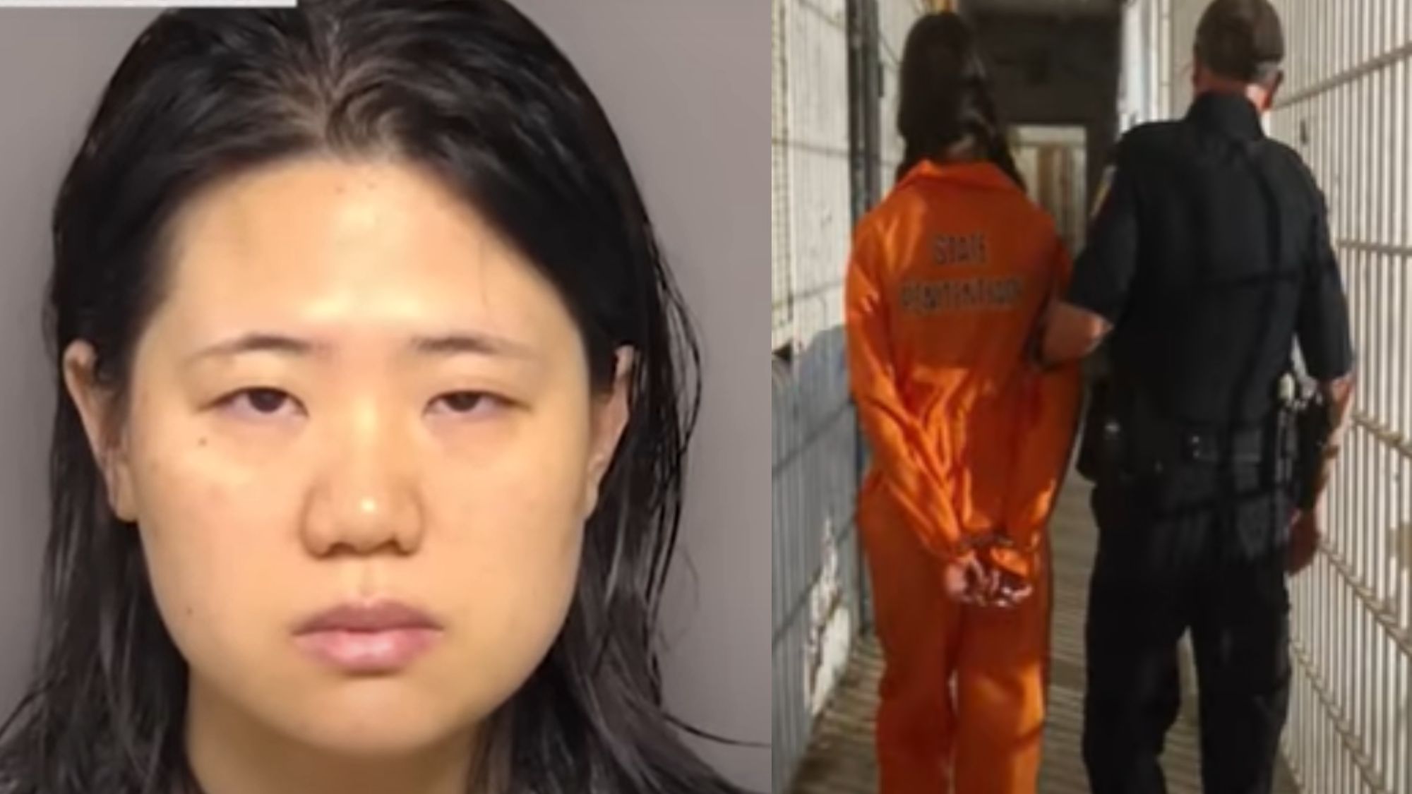 Wuhan scientist arrested in Detroit for alleged biological smuggling