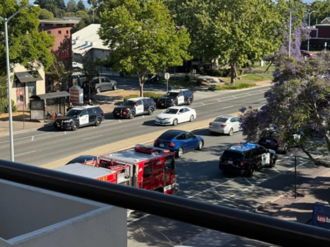 BREAKING: Jewelry Store Robbery in Fremont Triggers Multi-Car Chase, K-9 Injury, and Multiple Arrests