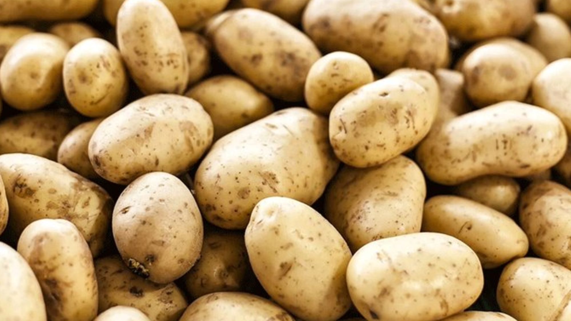 French fries boost Gujarat potato farming