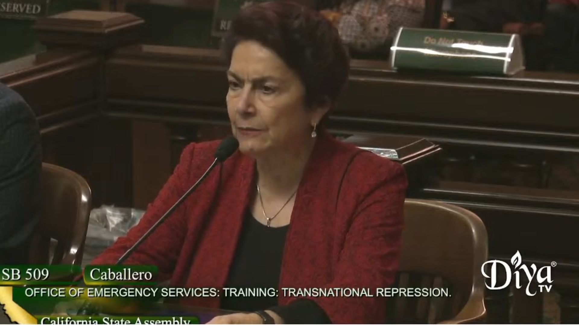 SB 509 Author California State Sen. Anna Caballero on the spirit of her controversial transnational repression bill