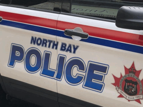 Brampton Student on Deportation Watch After Drug-Fueled Rampage Injures Police Officer in North Bay