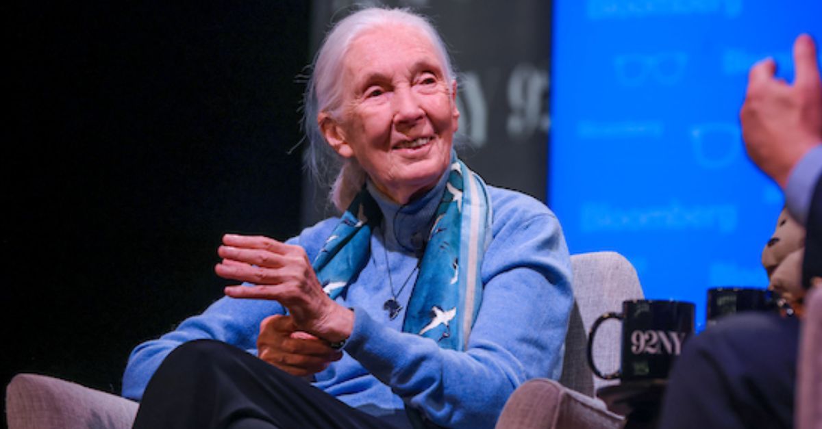 Jane Goodall, famed primatologist and conservationist, dies at 91