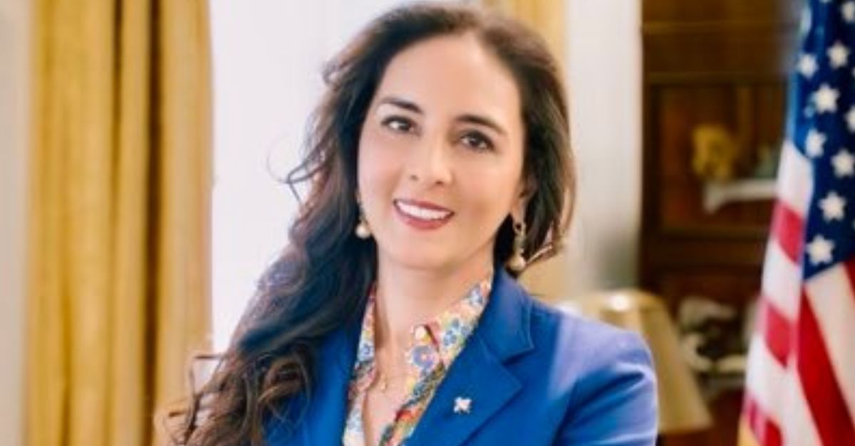 DOJ’s  Harmeet Dhillon urges calm after truck crashes involving illegal Sikh truckers