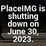 Sarina Dach Profile Picture