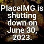 Citlalli Connelly Profile Picture