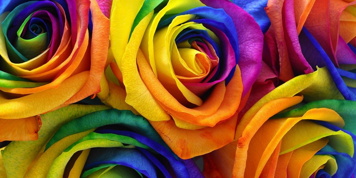 Express Your Love with Rainbow Rose Delivery