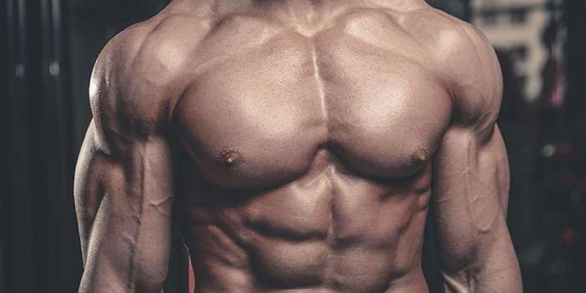 Beginner Chest Workout: Build a Strong Upper Body