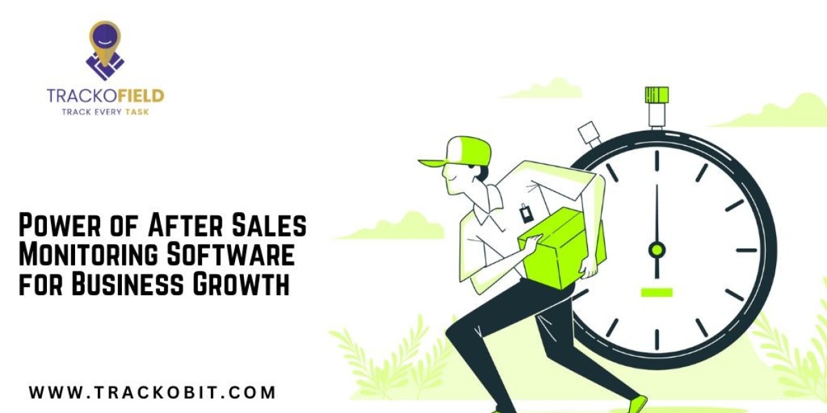 Power of After Sales Monitoring Software for Business Growth