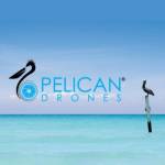 Pelican Drones Profile Picture