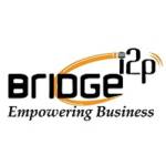 bridgei2p Profile Picture