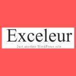 exceleur net Profile Picture