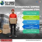 flybirdinternational flybird Profile Picture