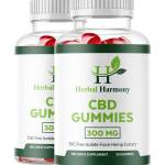 Emmett Sheets Profile Picture