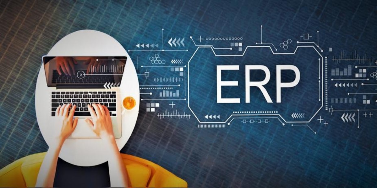 ERP Integration and SAP Implementation Service