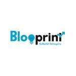 Blooprint Consulting Profile Picture