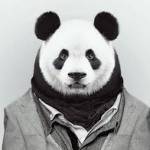 Agustin Baldassare Profile Picture