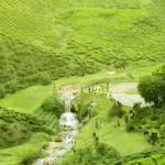 Jack Olivia Profile Picture