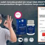 Prostalove Ulasan Profile Picture