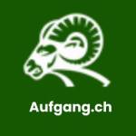 Auf Gang Profile Picture
