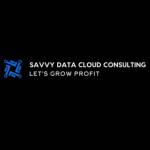 Savvy Datacloud Cloud Consulting Profile Picture