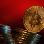 Apex Capital Official Website Profile Picture