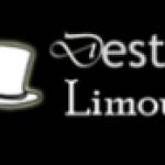 Destiny Limousine Ltd Profile Picture