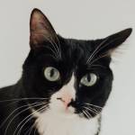 Julia Rodyk Profile Picture