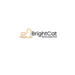 BrightCat Data Analytics Inc Profile Picture