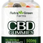 Pauler Qones Profile Picture