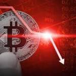 Immediate Path Trading Platform Profile Picture