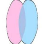 cha nederland Profile Picture