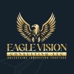 Eagle Vision Consulting Profile Picture
