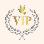 Vip Luxury Travel Profile Picture