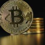 TaxelioX Plattform Profile Picture