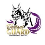 Doberman Ukraine Profile Picture