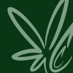 Cannabis Clones Profile Picture