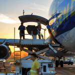 Lark ship Profile Picture