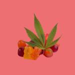 elianabith Profile Picture