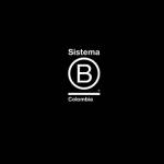 Sistema B Colombia profile picture