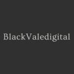 Black Vale Digital Profile Picture