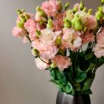 gulf flowers Profile Picture